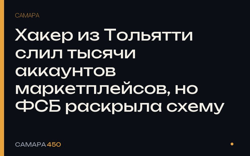 Хакер из Тольятти слил тысячи аккаунтов маркетплейсов, но ФСБ раскрыла схему — Самара450