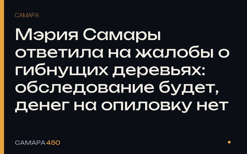 Мэрия Самары ответила на жалобы о гибнущих деревьях: обследование будет, денег на опиловку нет — Самара450