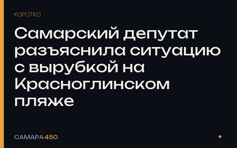 Самарский депутат разъяснила ситуацию с вырубкой на Красноглинском пляже — Самара450