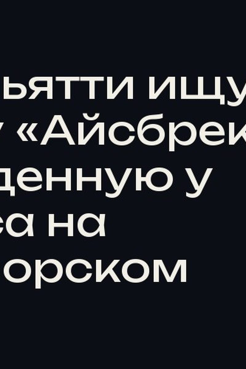 В Тольятти ищут пихту «Айсбрекер», украденную у офиса на Приморском
