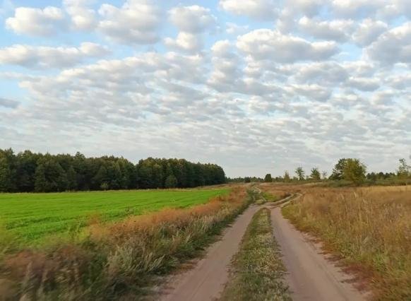 В Самарской области завершилась охота на степного сурка: разрешения нужно сдать до 20 октября