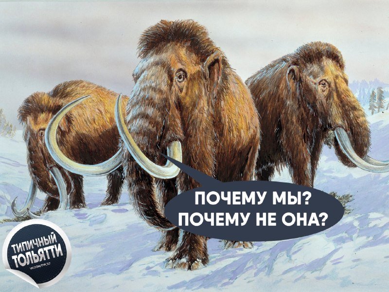 Школьница из Ставропольского района отдала курьеру 2,2 млн за «спасение от терроризма