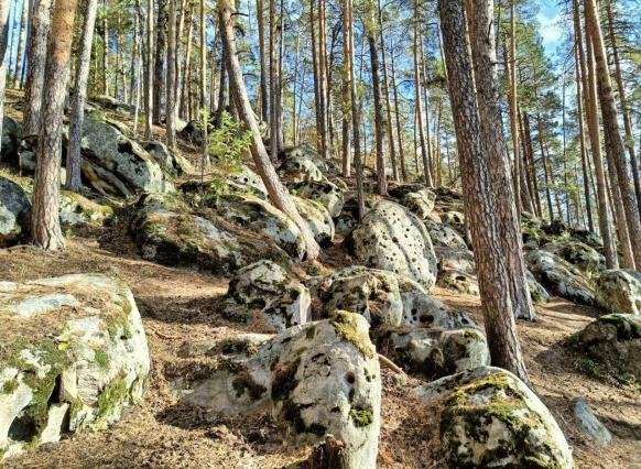 На Рачейских скалах планируют создать официальный туристический маршрут
