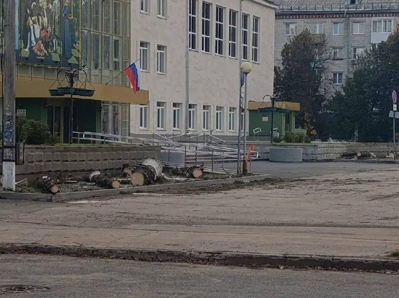 В Тольятти у театра «Колесо» спилили ели: жители спрашивают о заключении дендролога